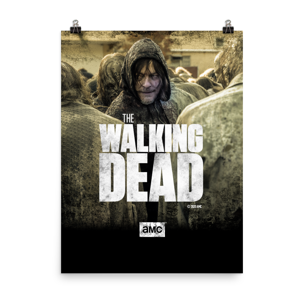 The Walking Dead Daryl Season 10 Finale Premium Satin Poster