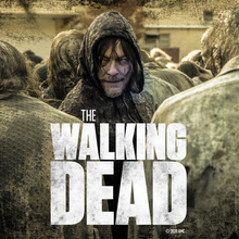 Load image into Gallery viewer, The Walking Dead Daryl Season 10 Premium Satin Poster
